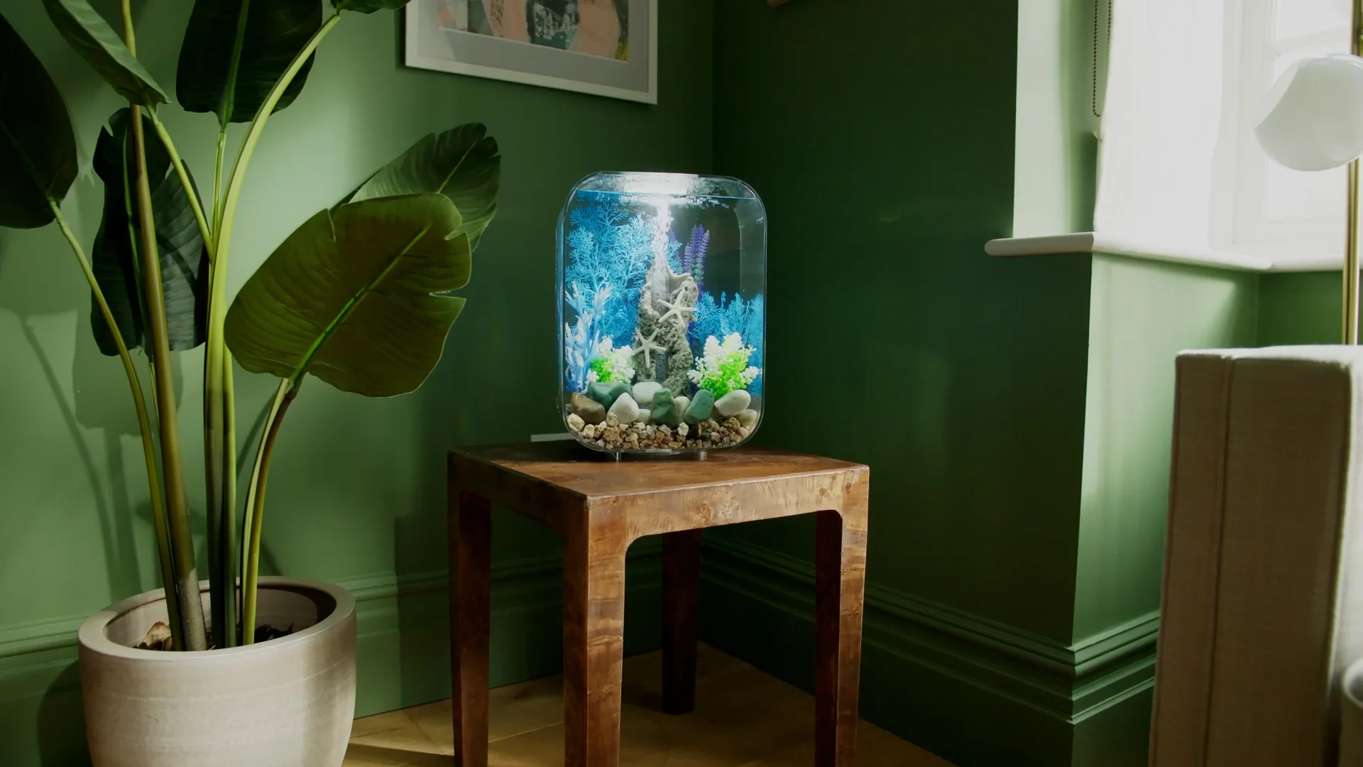 Elevate Your Space with Nature