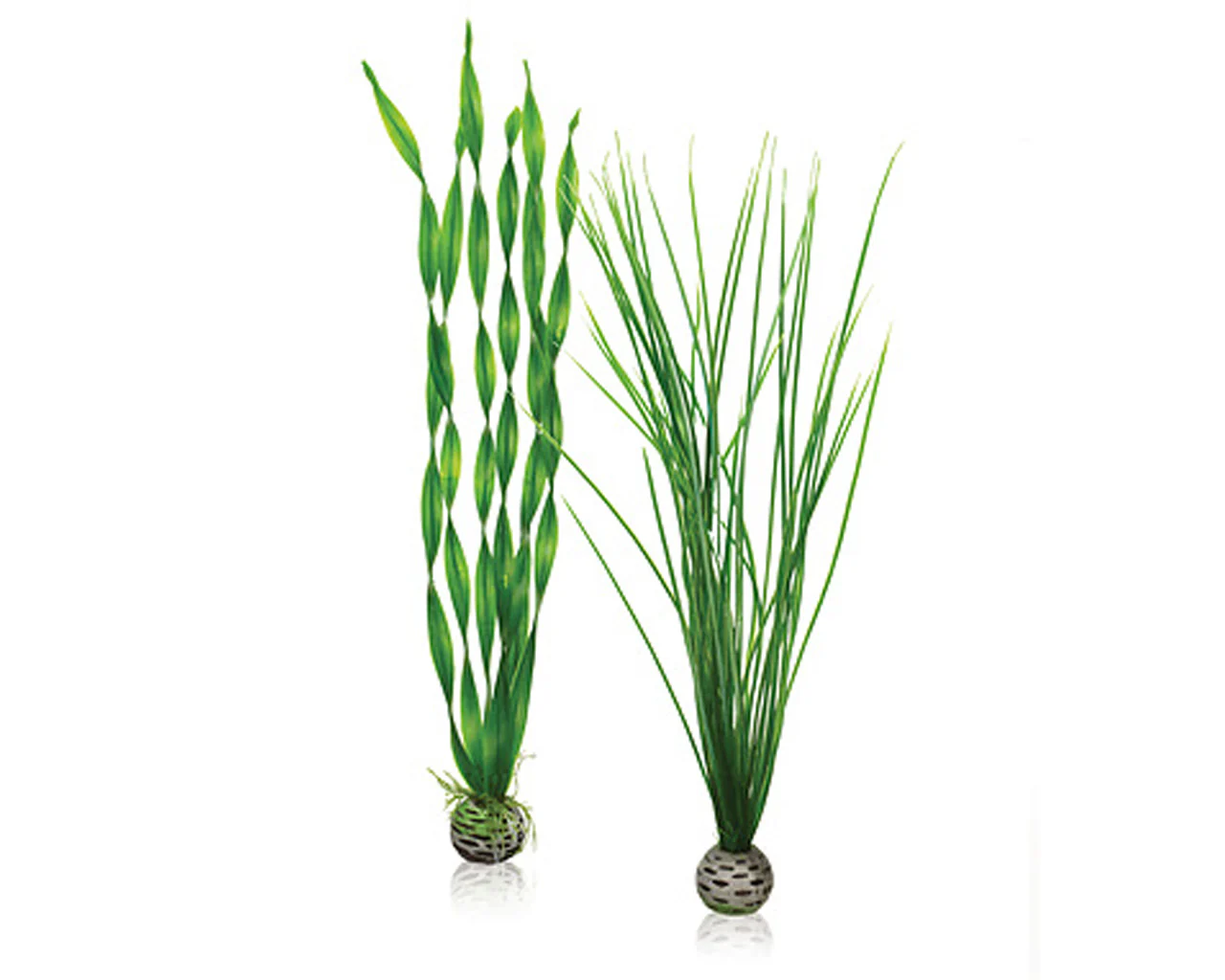 biOrb Pflanzen Set L grün
