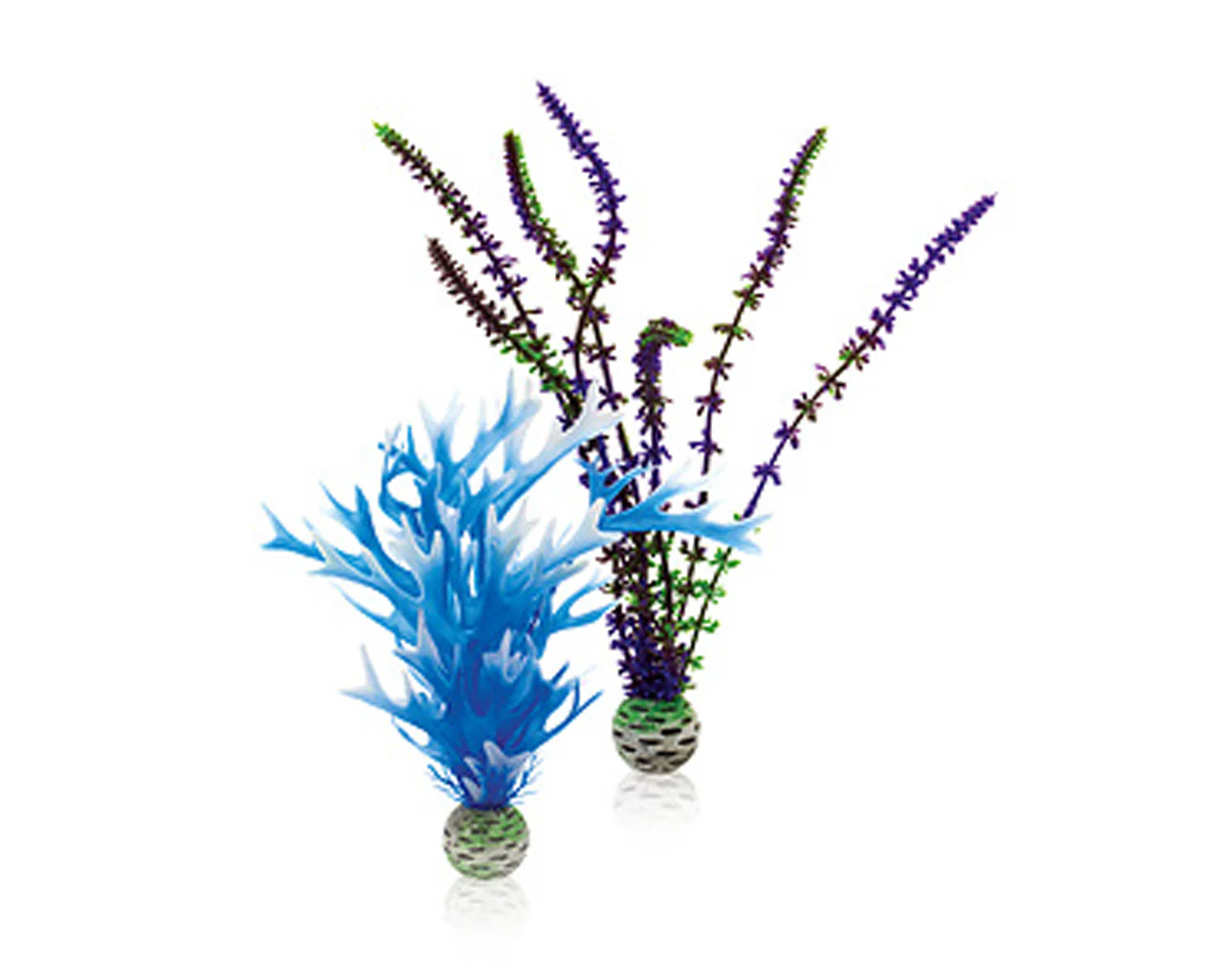 biOrb Pflanzen Set M blau & lila