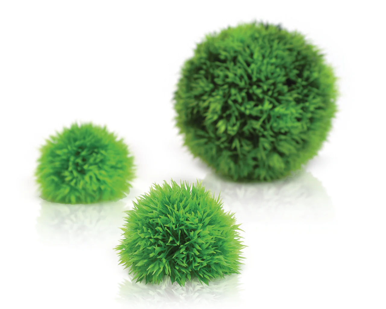 biOrb Dekogewächsball Set 3 grün