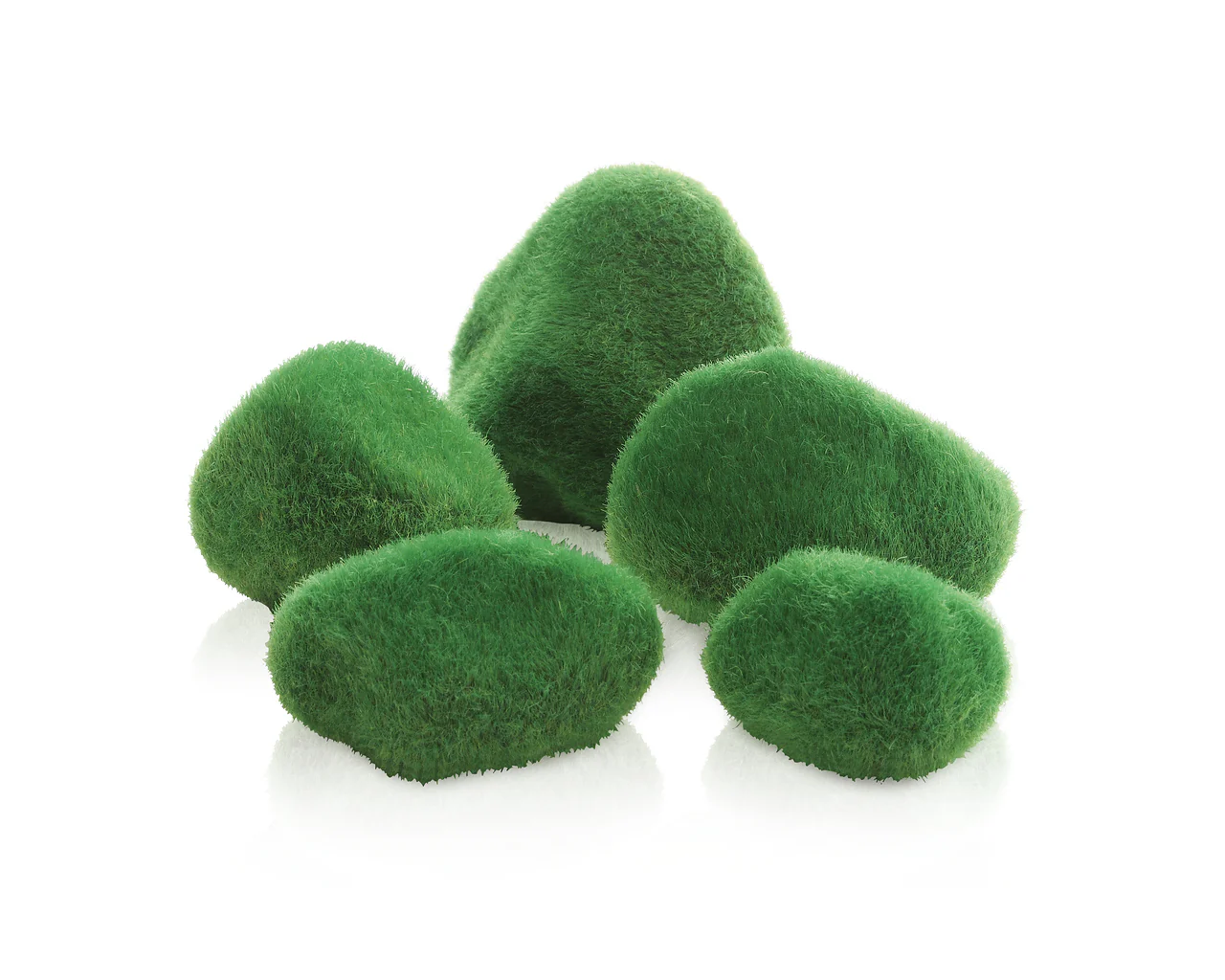 biOrb Kieselstein Set Moosbewachsen