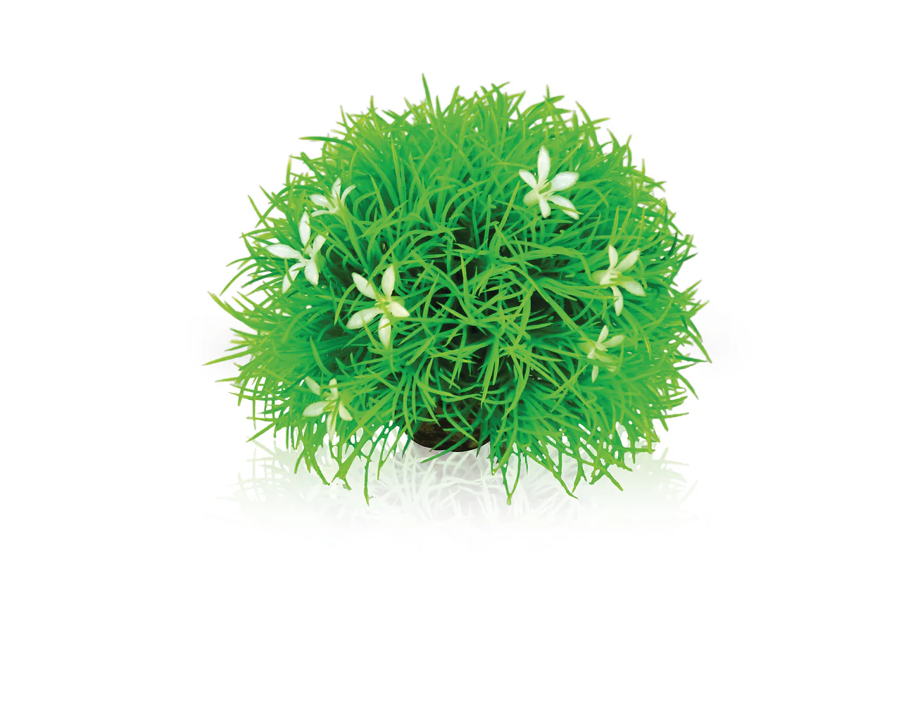 biOrb Gewächsball Gänseblümchen
