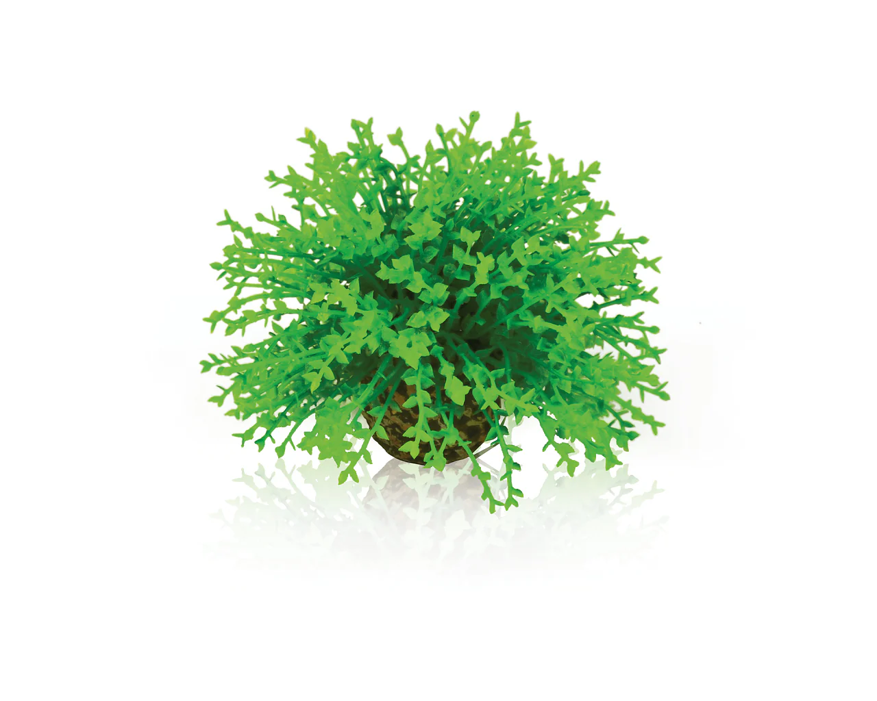 biOrb Blumenball grün
