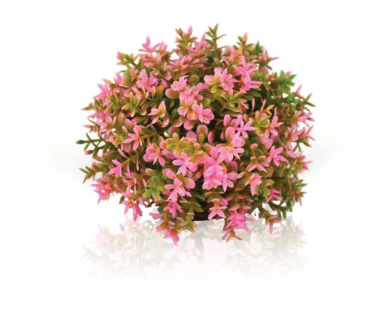 biOrb Blumenball pink