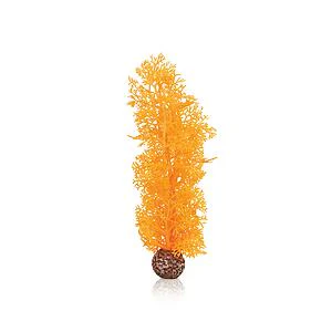 biOrb Hornkoralle M orange
