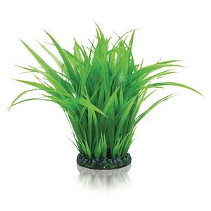 biOrb Grasring L grün