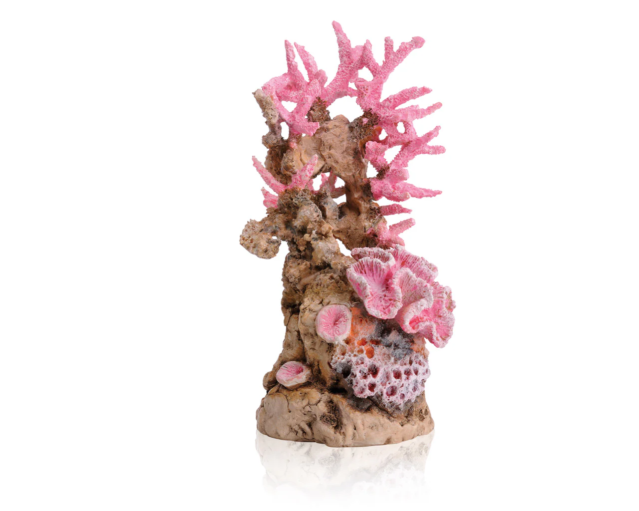 biOrb Korallenriff Ornament pink