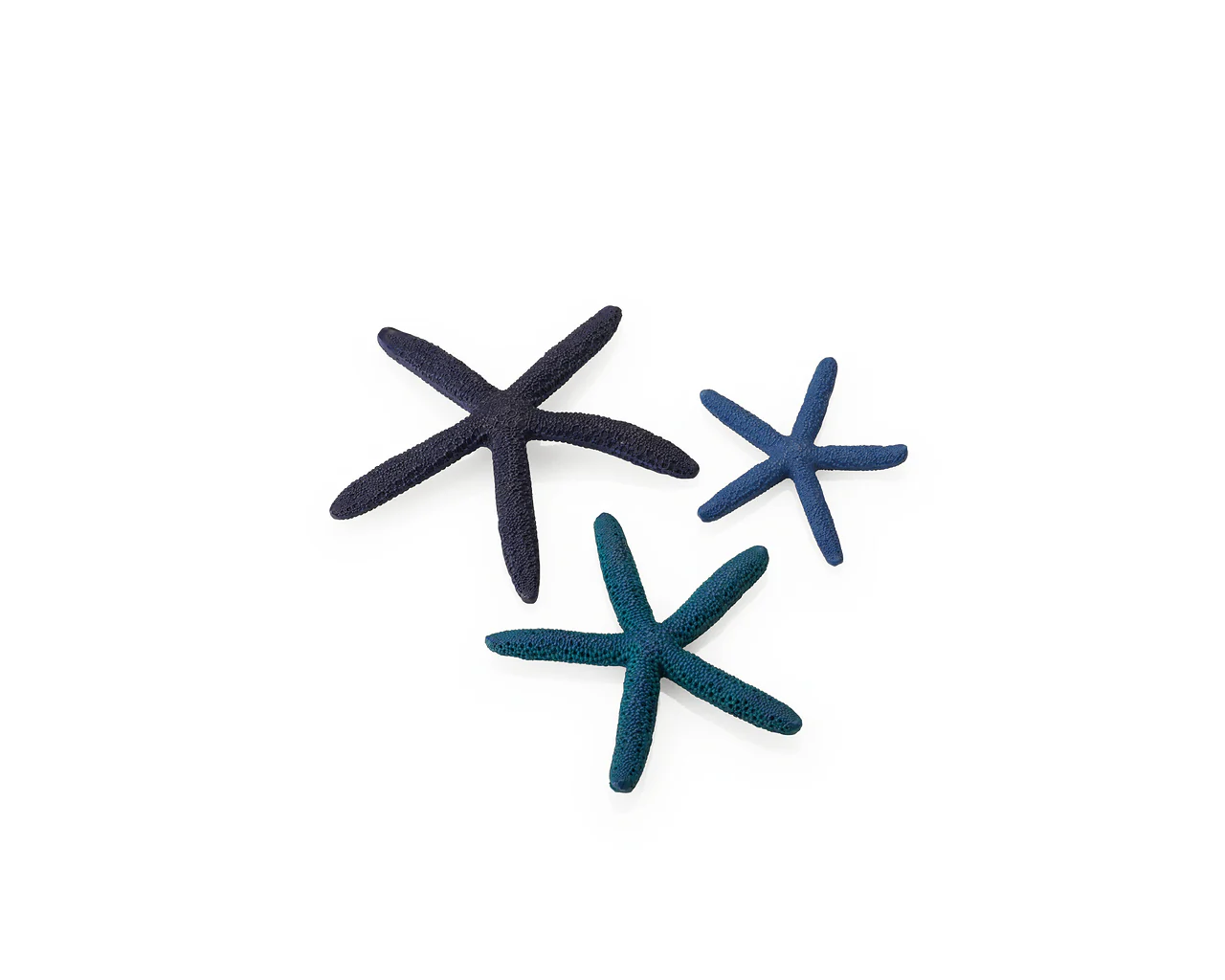 biOrb Seestern Set 3 blau