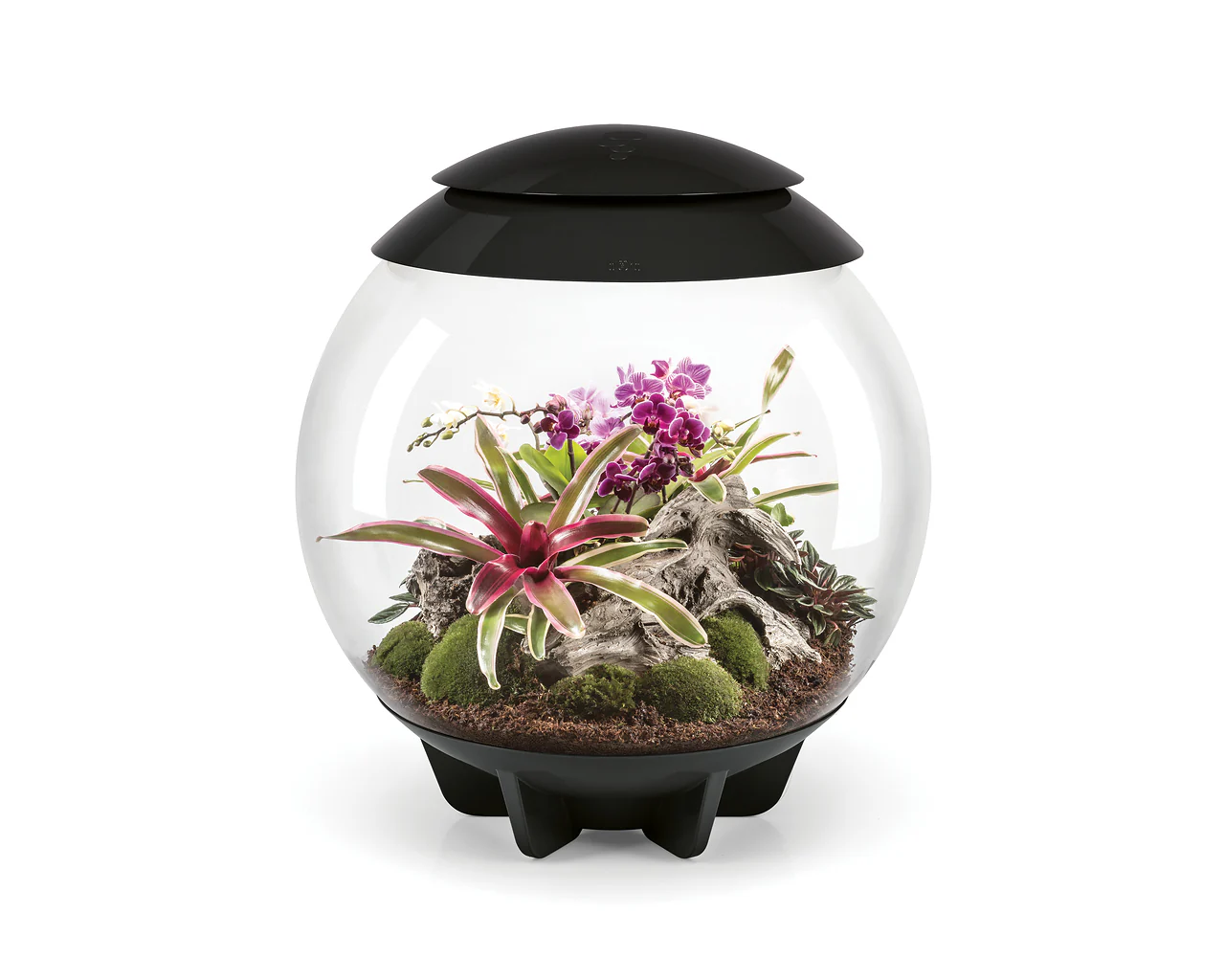 biOrb AIR 60 - Image 3