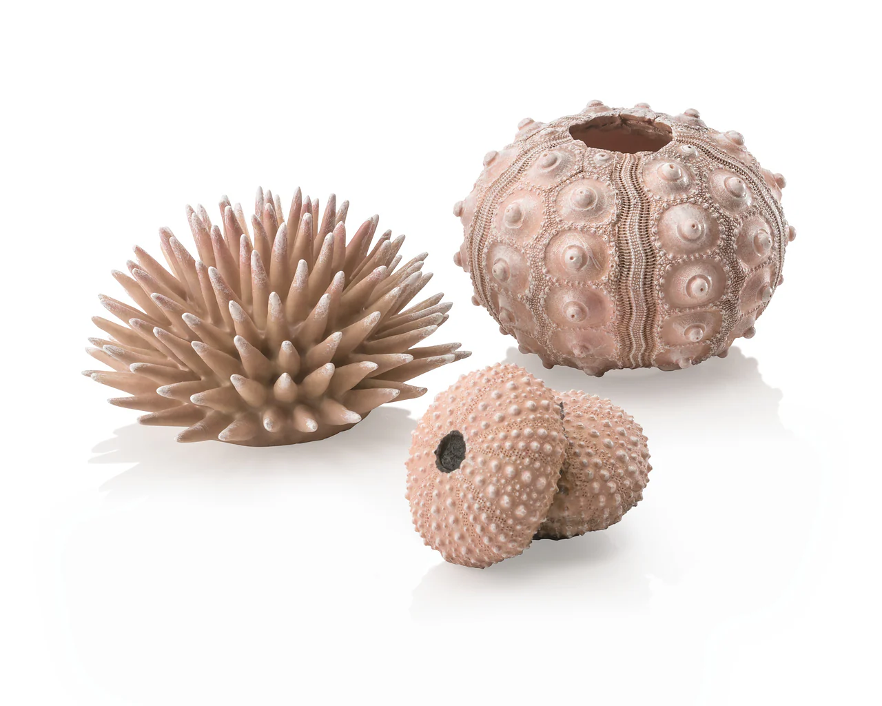 biOrb Seeigel Set natural