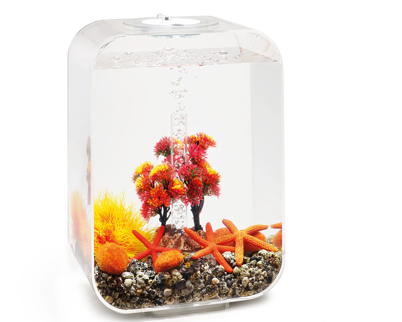 biOrb Decor Set 15L Herbst - Image 3