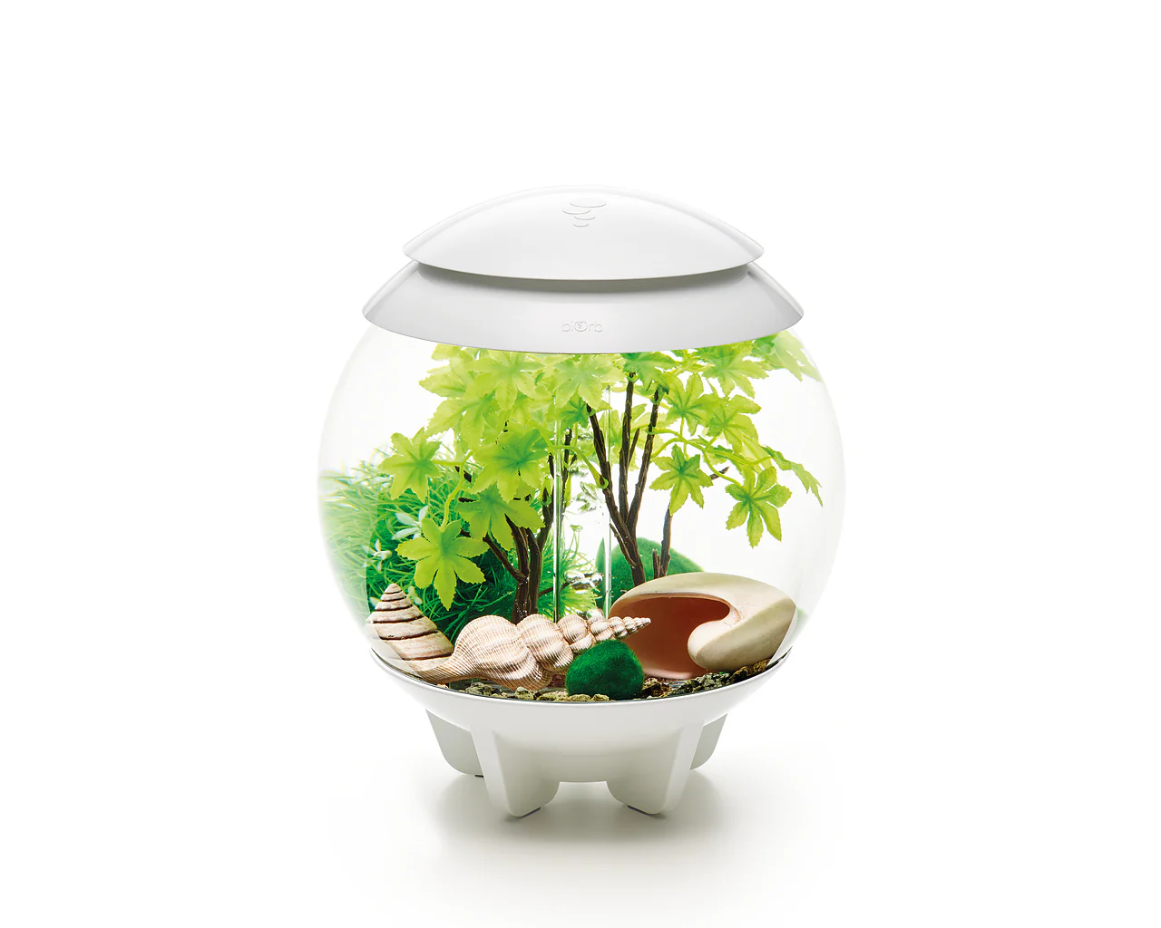 biOrb Decor Set 15L Sommer - Image 3