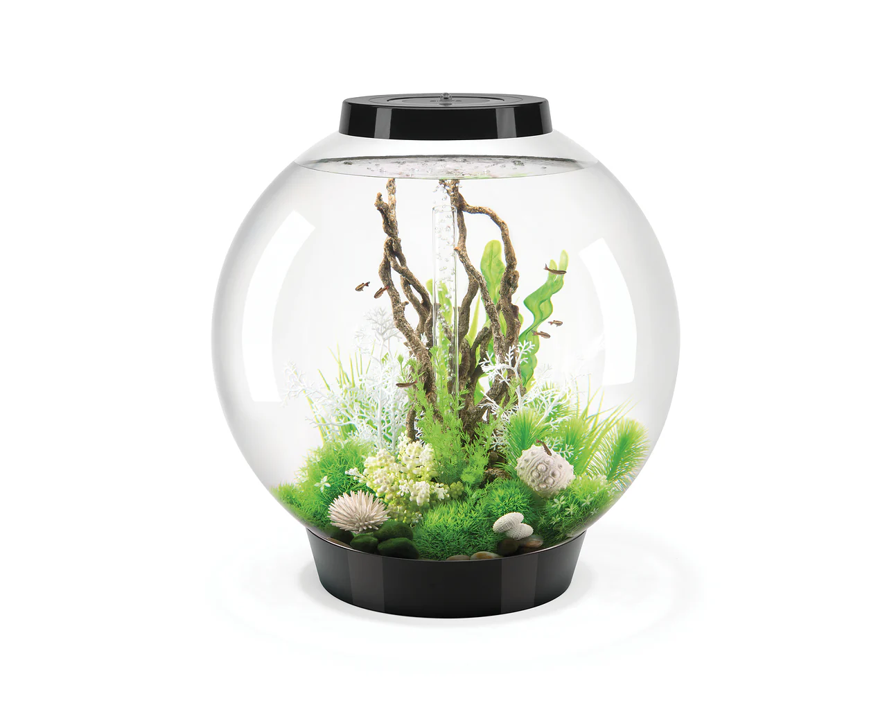 biOrb CLASSIC 105 MCR