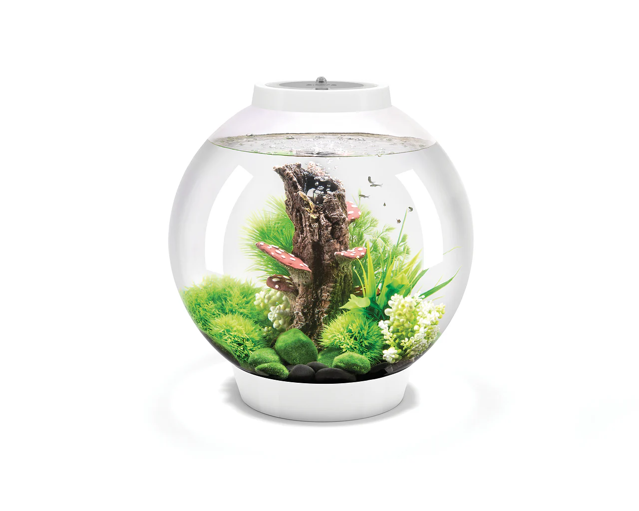 biOrb CLASSIC 30 LED - Image 3