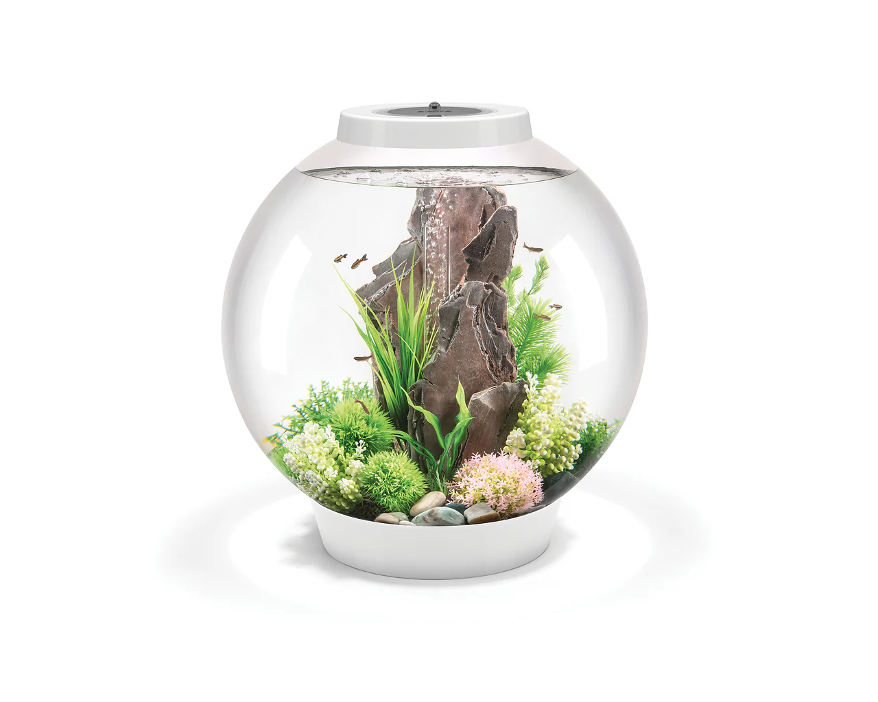 biOrb CLASSIC 60 LED - Image 3
