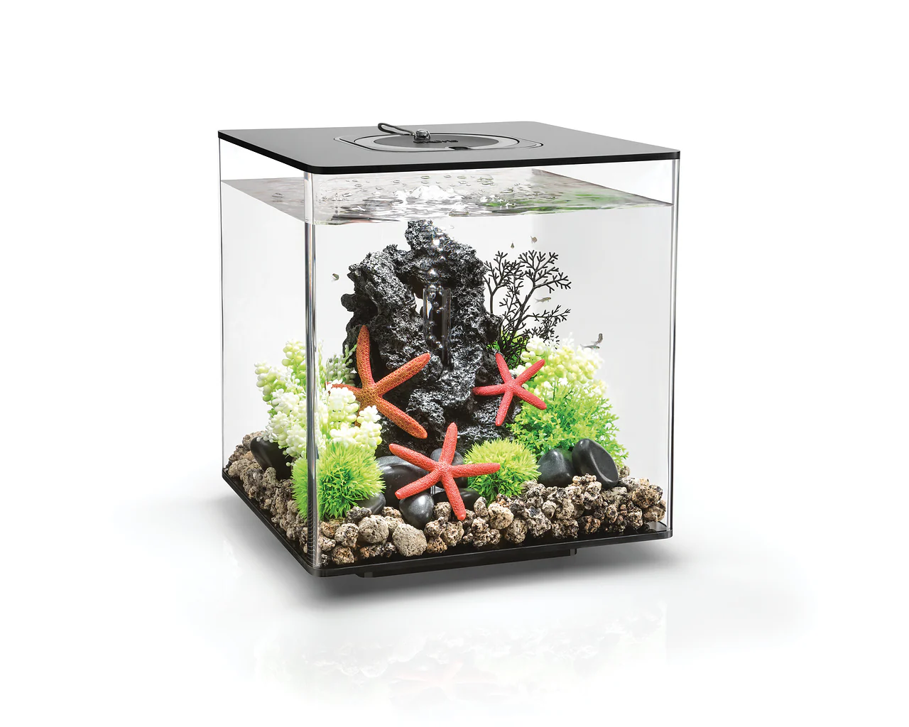 biOrb CUBE 30 LED
