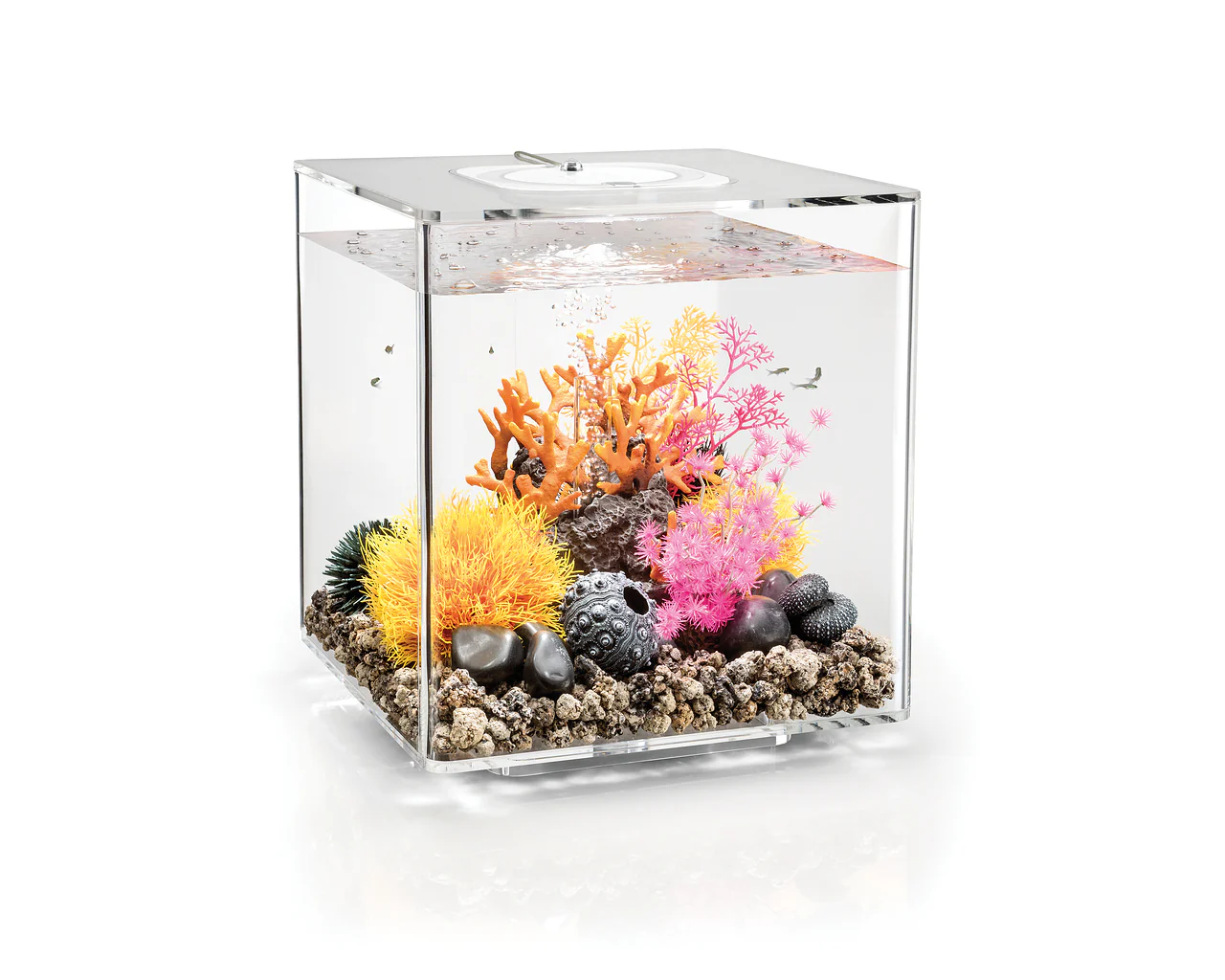 biOrb CUBE 30 LED - Image 2