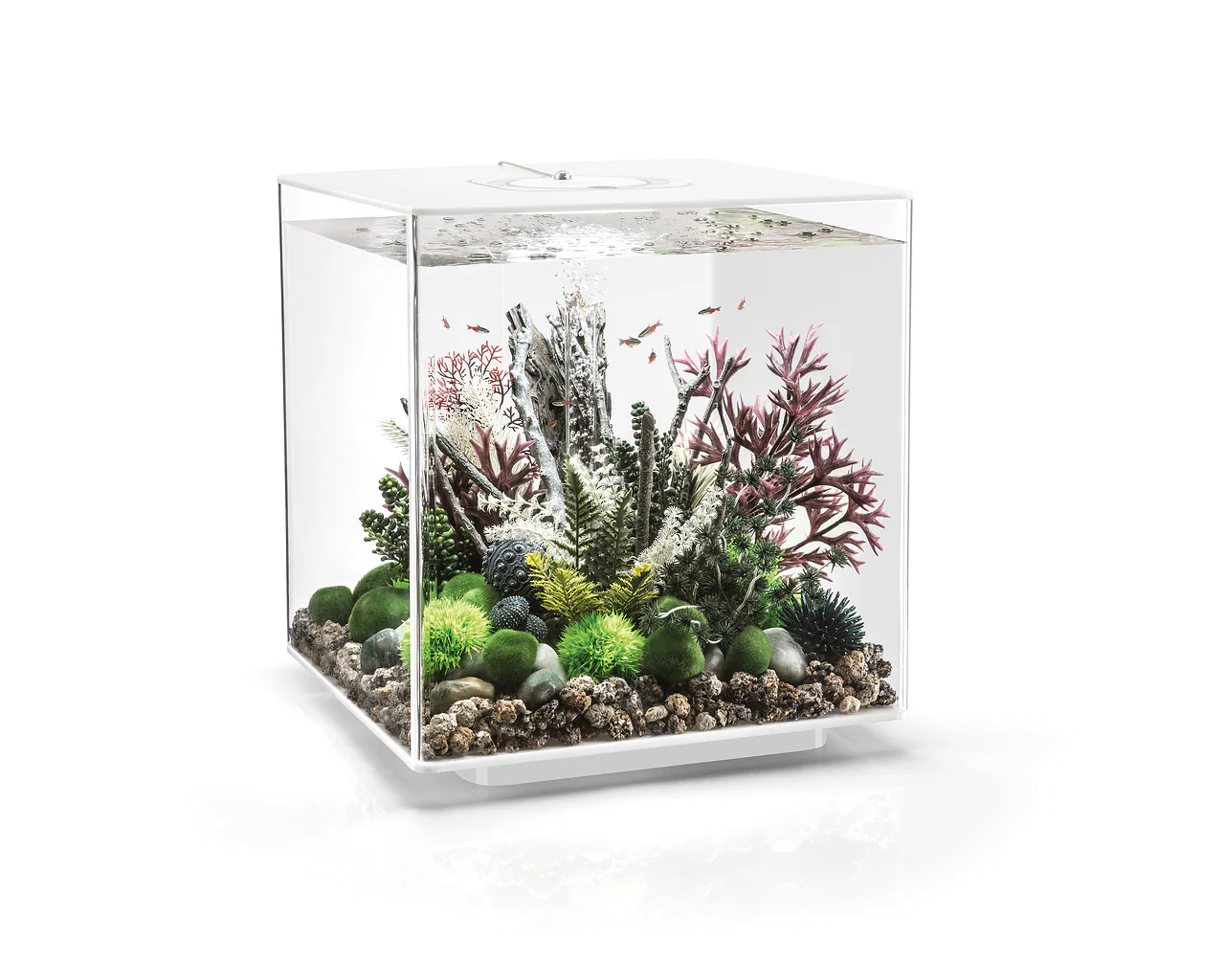 biOrb CUBE 60 LED - Image 3