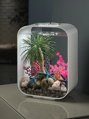 biOrb LIFE 15 LED - Image 4