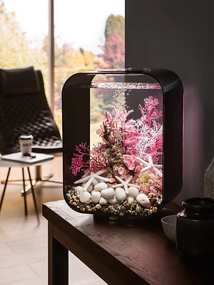 biOrb LIFE 15 LED - Image 5