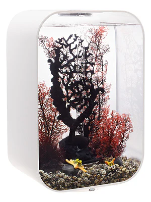 biOrb LIFE 45 MCR - Image 3
