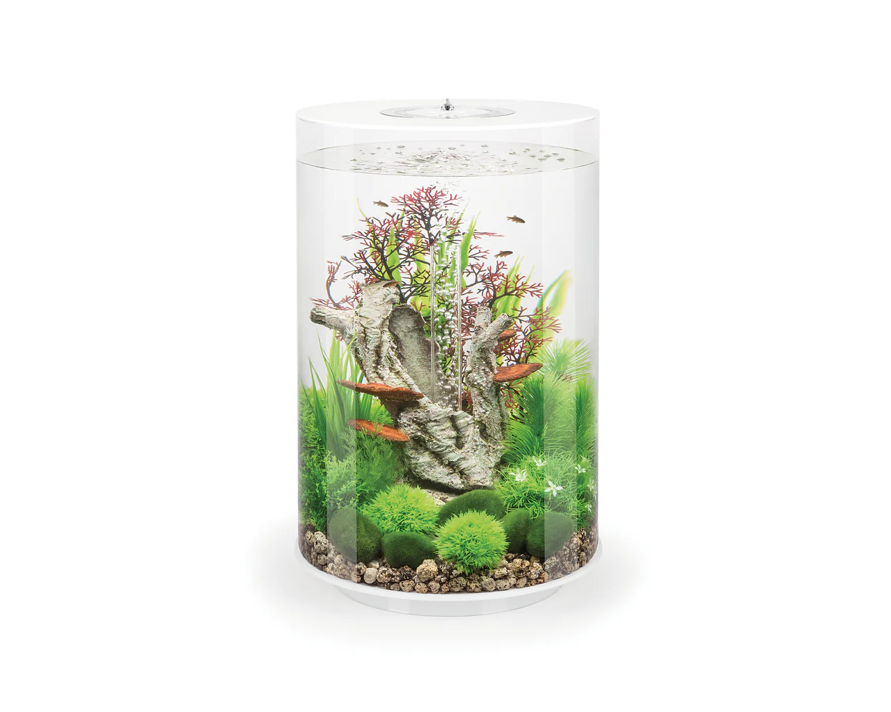 biOrb TUBE 30 LED - Image 2