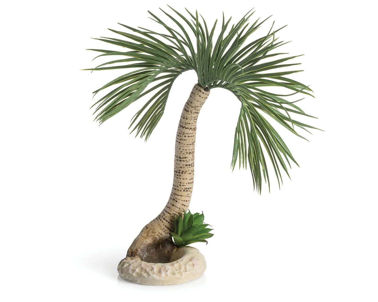 biOrb Palme Seychellen L
