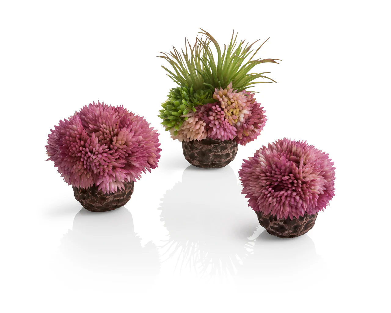 biOrb Korallenball Set lila