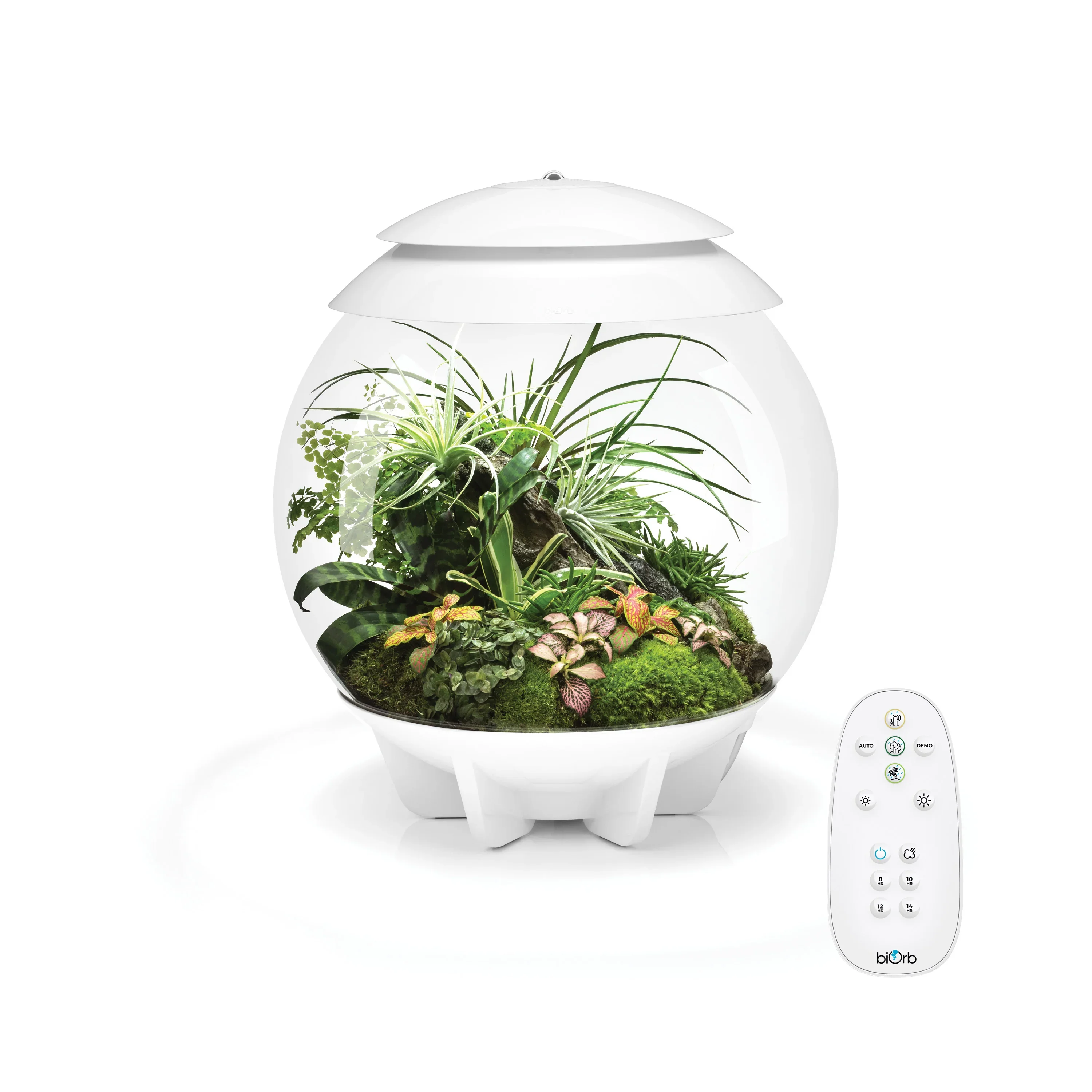 biOrb AIR 30