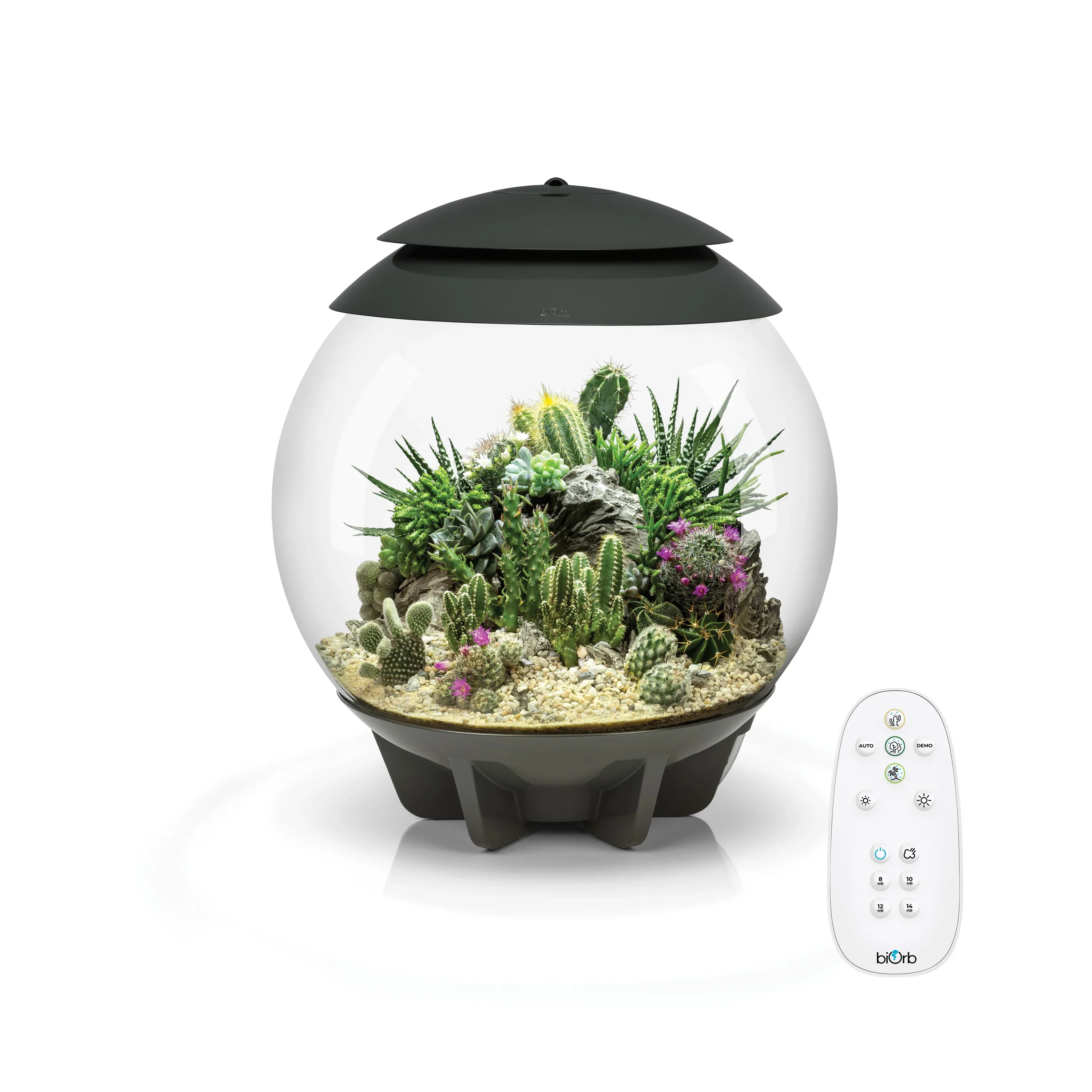 biOrb AIR 30 - Image 2