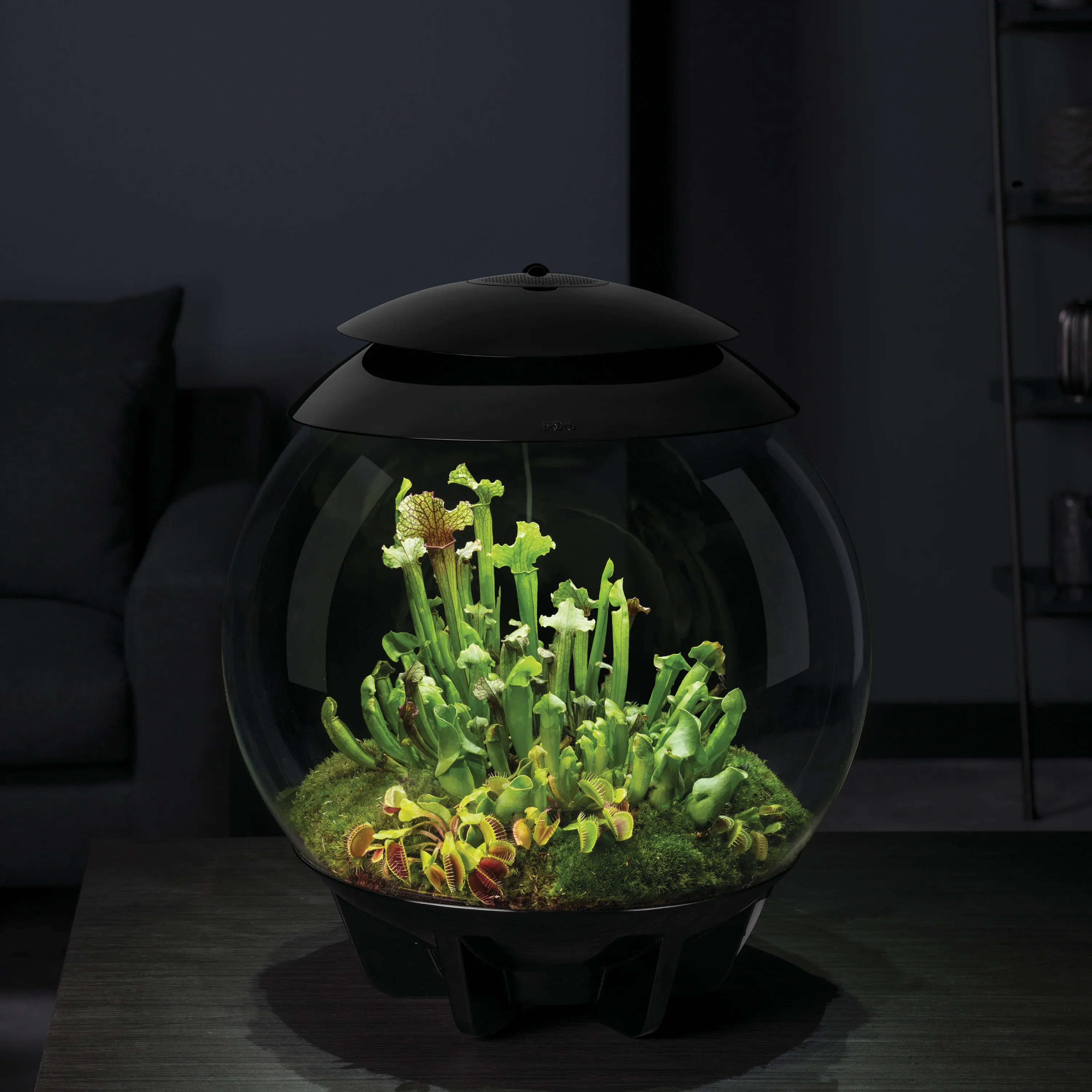 biOrb AIR 30 - Image 3