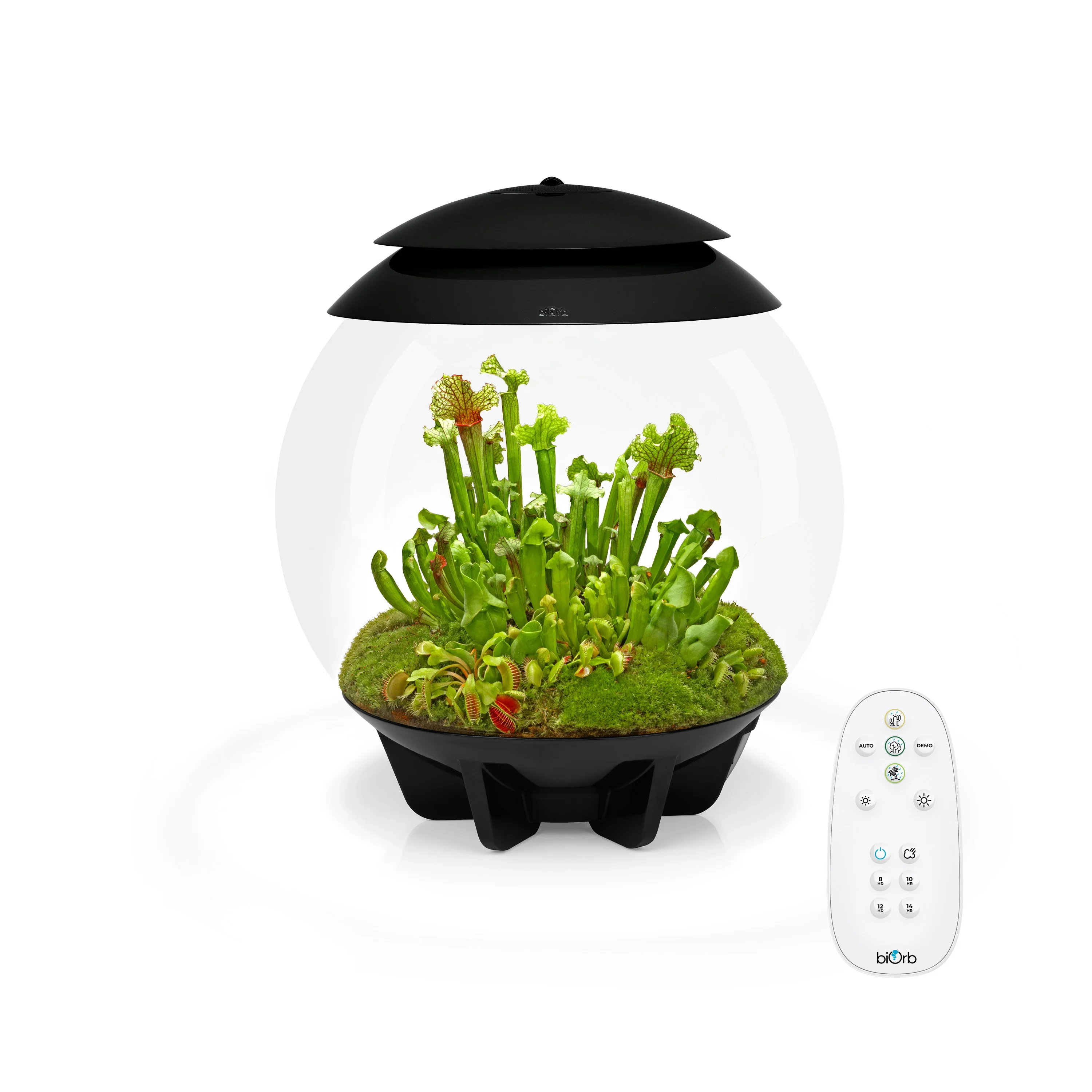 biOrb AIR 30 - Image 4